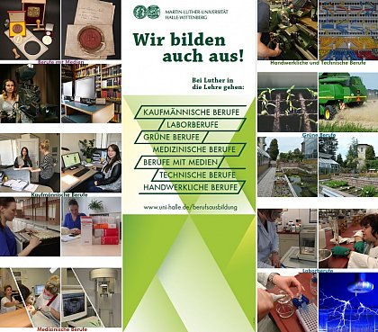 Ausbildung an der MLU